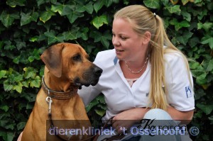 Foto MV voor website